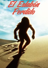 El vínculo olvidado