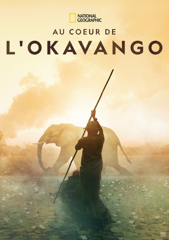 Au cœur de l'Okavango