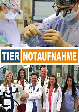 Tier Notaufnahme