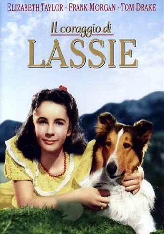 Il coraggio di Lassie