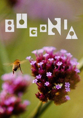 Bugonia