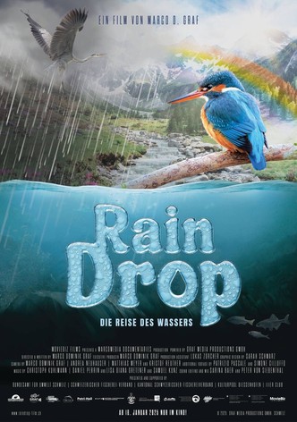 Raindrop - Die Reise des Wassers