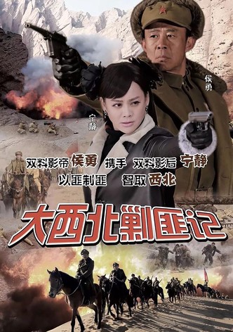 大西北剿匪记
