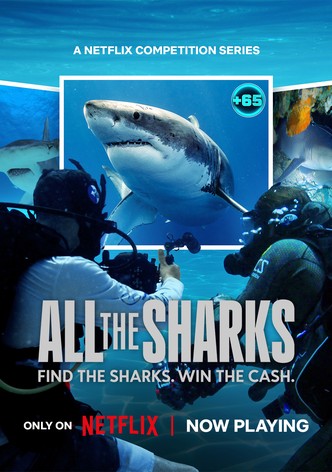 All the Sharks - Season 1