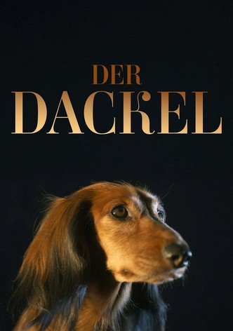 Der Dackel
