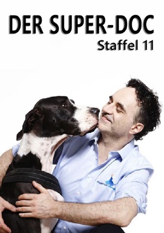 Staffel 11