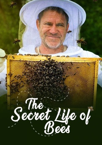 The Secret Life of Bees