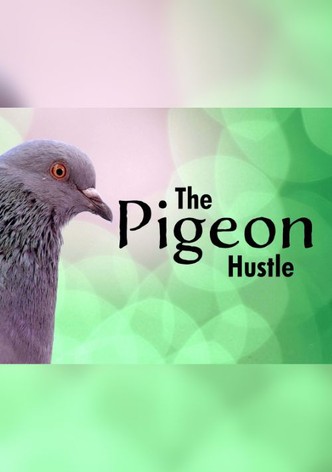 The Pigeon Hustle