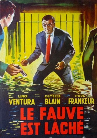 Le fauve est lâché