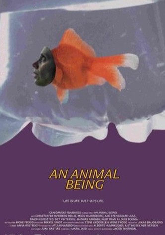 An Animal Being