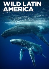 Wild Latin America