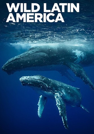 Wild Latin America