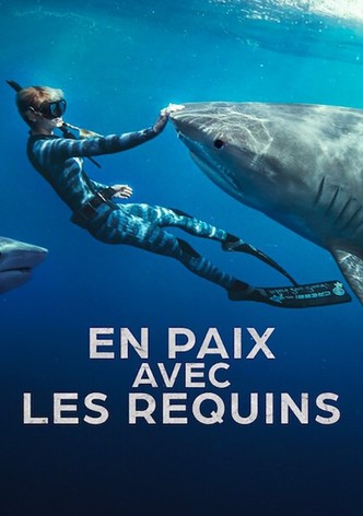 En paix avec les requins