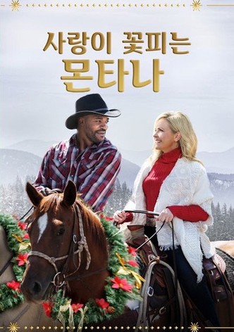 사랑이 꽃피는 몬타나