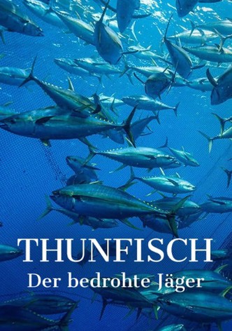 Thunfisch - Der bedrohte Jäger