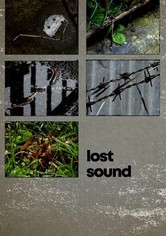 Lost Sound