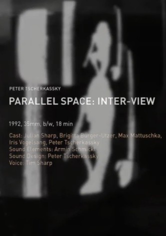 Parallel Space: Inter-View