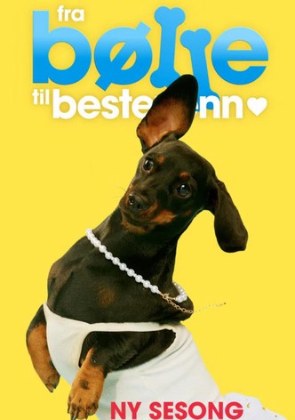 Koiraperheet käytöskoulussa