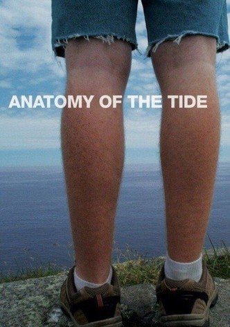 Anatomy of the Tide