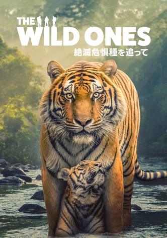 The Wild Ones 絶滅危惧種を追って - シーズン 1