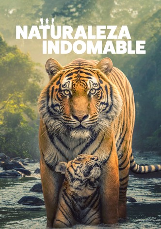 Instinto animal