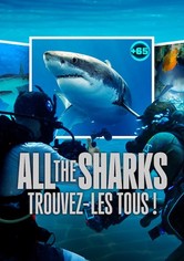All the Sharks : Trouvez-les tous !