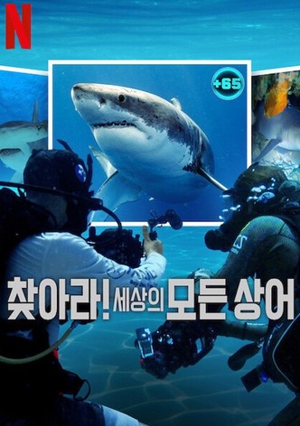 찾아라! 세상의 모든 상어