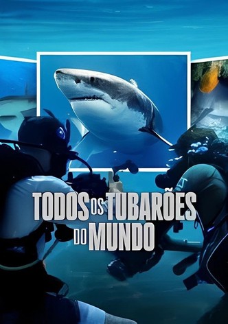 Todos os Tubarões do Mundo