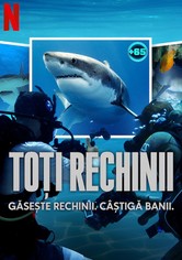 Toți rechinii