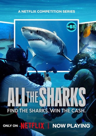 All the Sharks