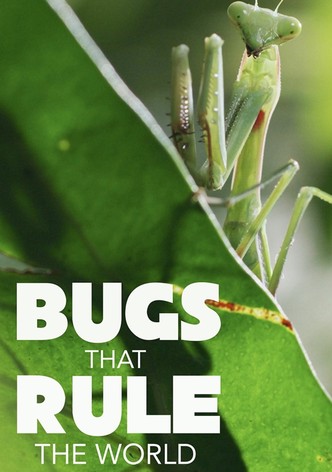 Bugs That Rule the World - Season 1