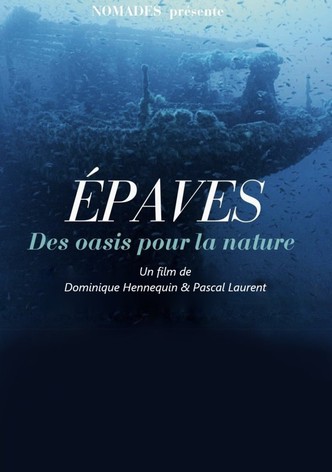Épaves - Des oasis pour la nature