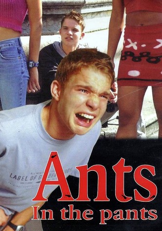 Ants in the Pants