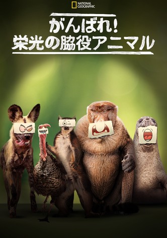 がんばれ！栄光の脇役アニマル