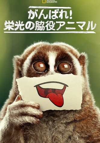 がんばれ！栄光の脇役アニマル