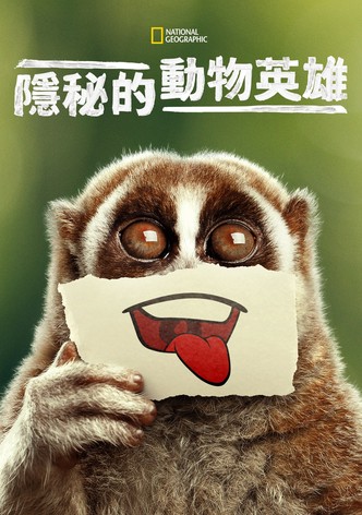 废柴英雄