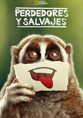 Perdedores y salvajes