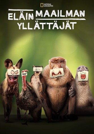 Eläinmaailman yllättäjät