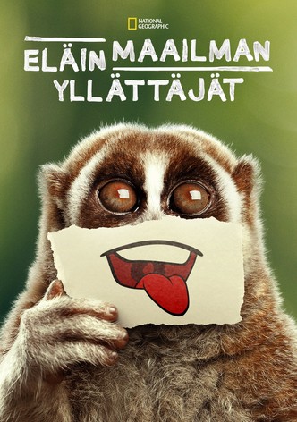 Eläinmaailman yllättäjät