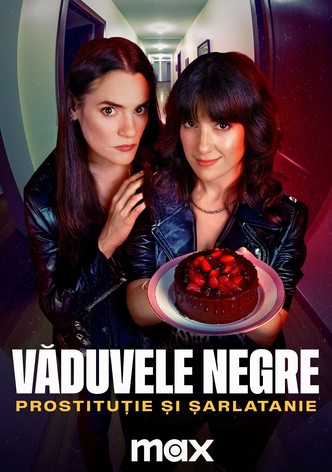 Black Widows: Wh*res & Hustlers