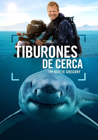 Tiburones en primer plano con Bertie Gregory