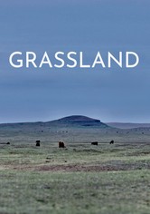 Grassland