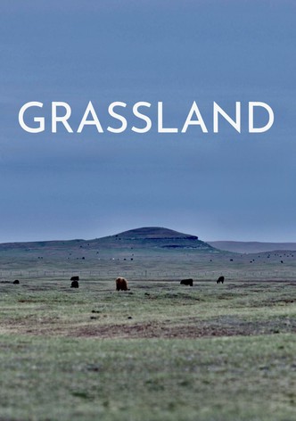Grassland