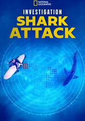 Investigation Shark Attack