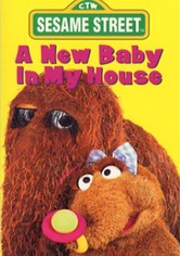 Sesame Street: A New Baby In My House