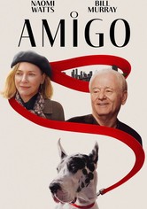 O Amigo