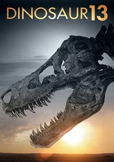 Dinosaur 13