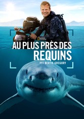 Au plus près des requins avec Bertie Gregory