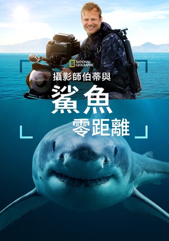 摄影师贝尔蒂与鲨鱼零距离