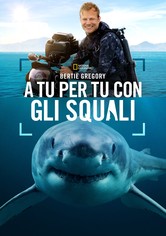 Bertie Gregory: A tu per tu con gli squali